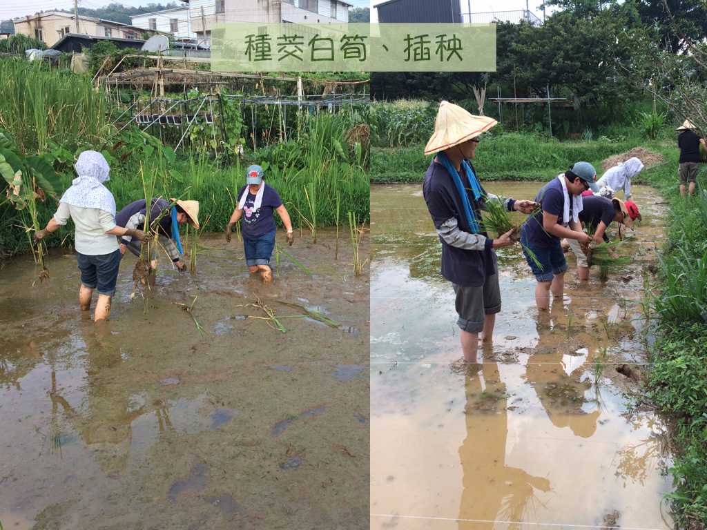 106-1小田園教育課程